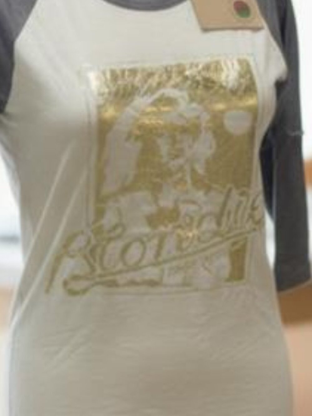 Vintage Blondie Trunk LTD Raglan T Shirt Debbie Harry Gold Foil New Medium 80s